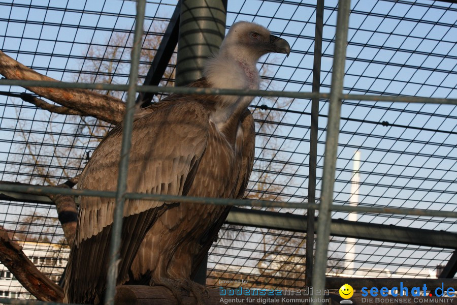 WILHELMA - zoologisch-botanischer Garten: Stuttgart, 05.02.2011