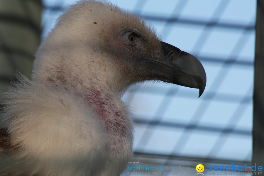 WILHELMA - zoologisch-botanischer Garten: Stuttgart, 05.02.2011