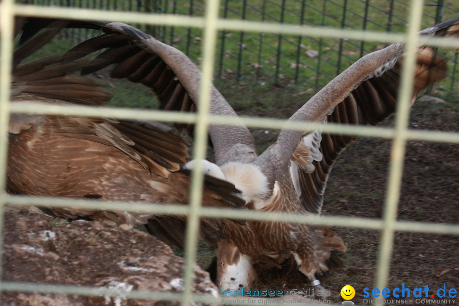 WILHELMA - zoologisch-botanischer Garten: Stuttgart, 05.02.2011