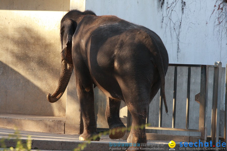 WILHELMA - zoologisch-botanischer Garten: Stuttgart, 05.02.2011