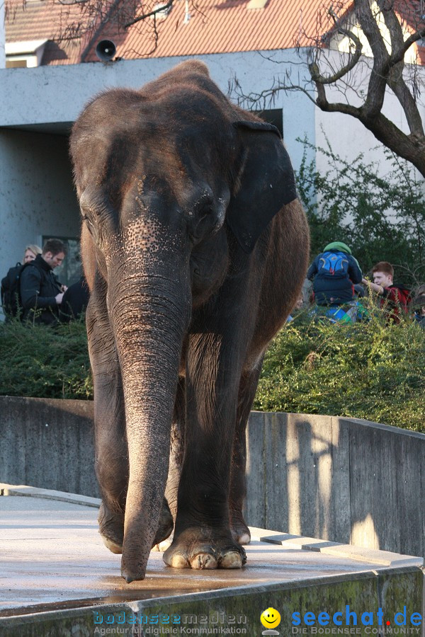 WILHELMA - zoologisch-botanischer Garten: Stuttgart, 05.02.2011