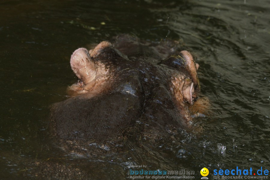 WILHELMA - zoologisch-botanischer Garten: Stuttgart, 05.02.2011