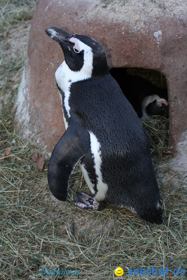 WILHELMA - zoologisch-botanischer Garten: Stuttgart, 05.02.2011