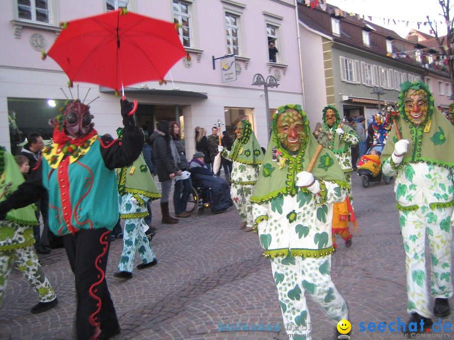 Fasnet-Tettnanger Feuerhexen Jubilaeumsumzug-Tettnang-050211-seechat_de