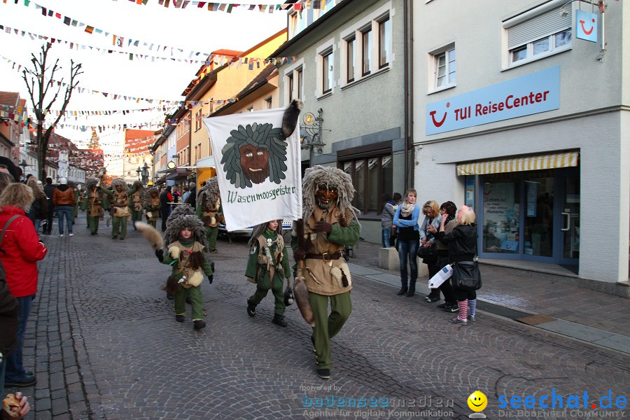 Fasnet-Tettnanger Feuerhexen Jubilaeumsumzug-Tettnang-050211-seechat_de