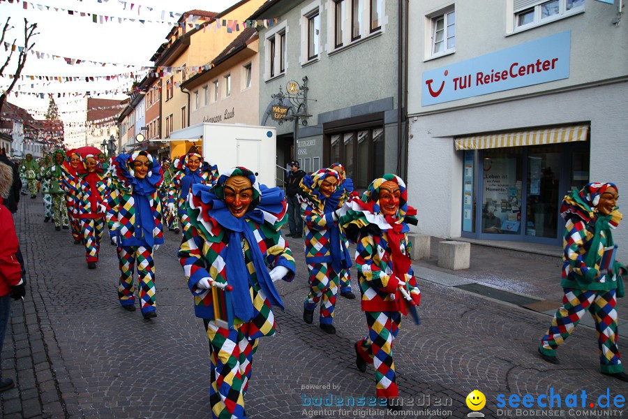 Fasnet-Tettnanger Feuerhexen Jubilaeumsumzug-Tettnang-050211-seechat_de