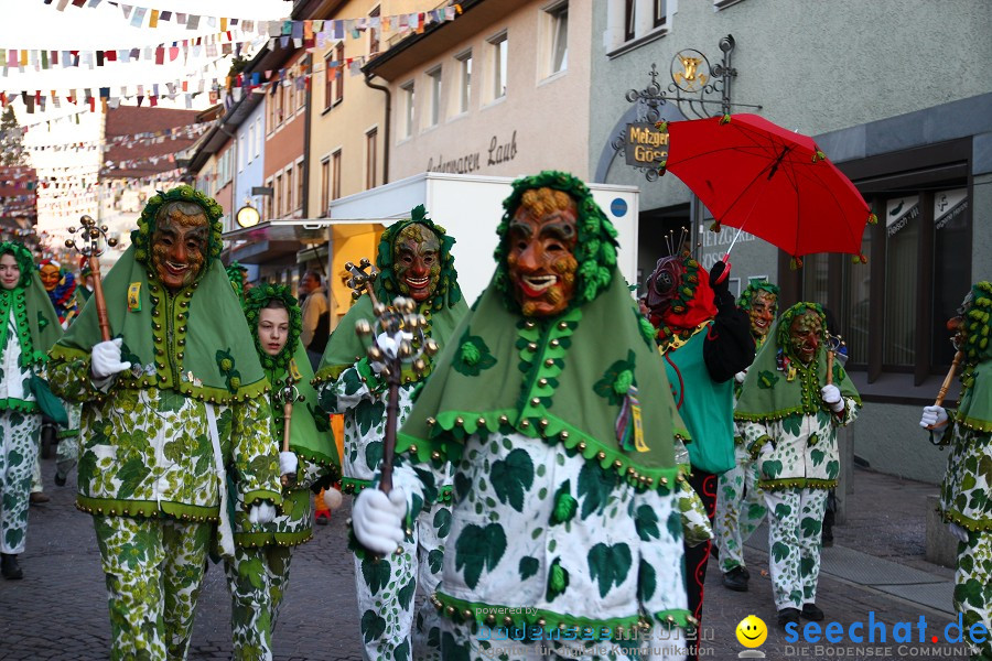 Fasnet-Tettnanger Feuerhexen Jubilaeumsumzug-Tettnang-050211-seechat_de