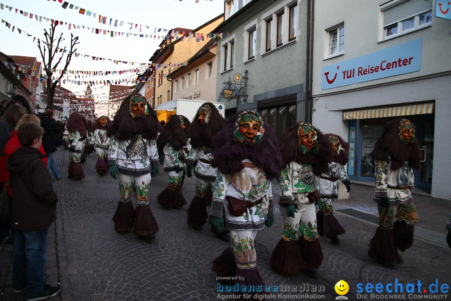 Fasnet-Tettnanger Feuerhexen Jubilaeumsumzug-Tettnang-050211-seechat_de