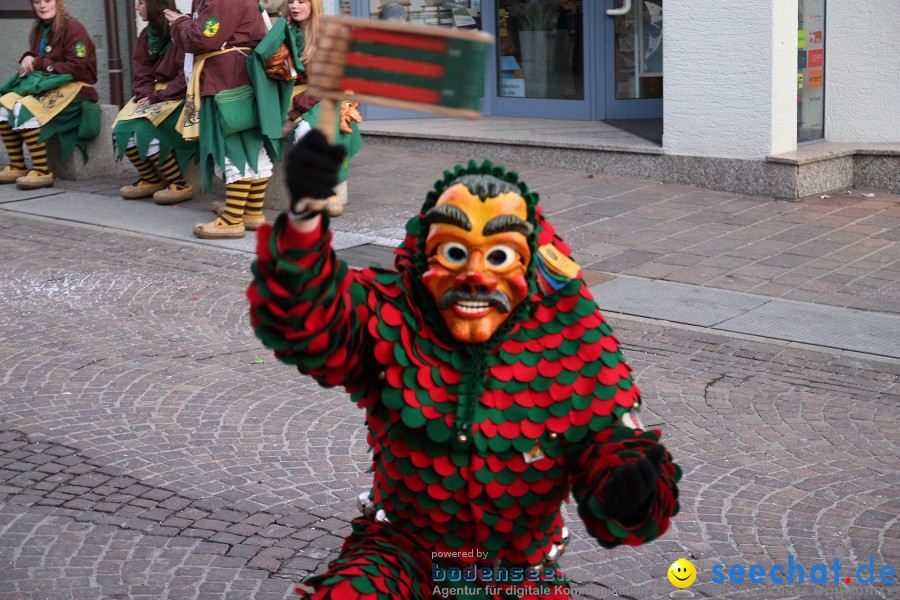 Fasnet-Tettnanger Feuerhexen Jubilaeumsumzug-Tettnang-050211-seechat_de