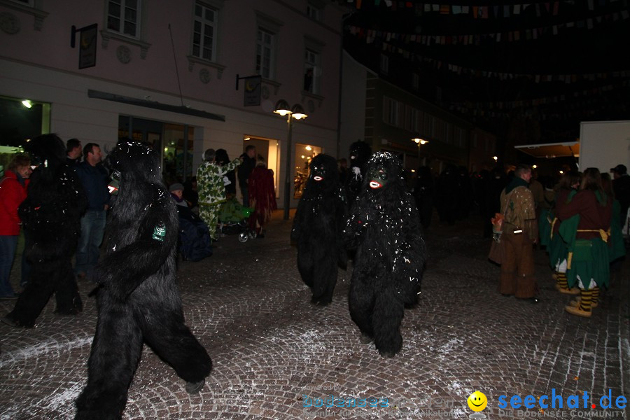 Fasnet-Tettnanger Feuerhexen Jubilaeumsumzug-Tettnang-050211-seechat_de