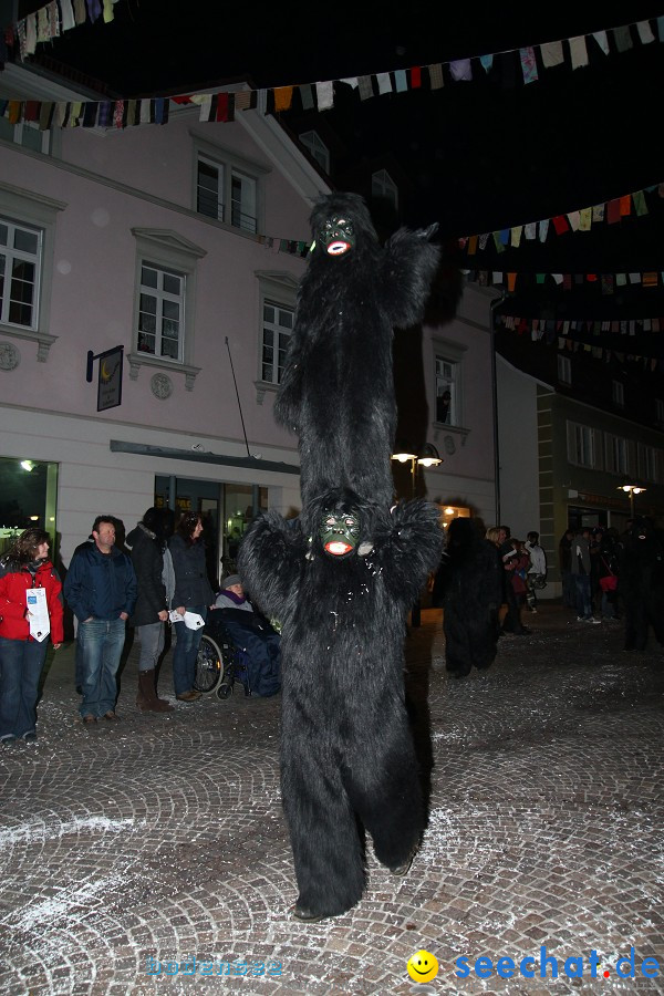 Fasnet-Tettnanger Feuerhexen Jubilaeumsumzug-Tettnang-050211-seechat_de