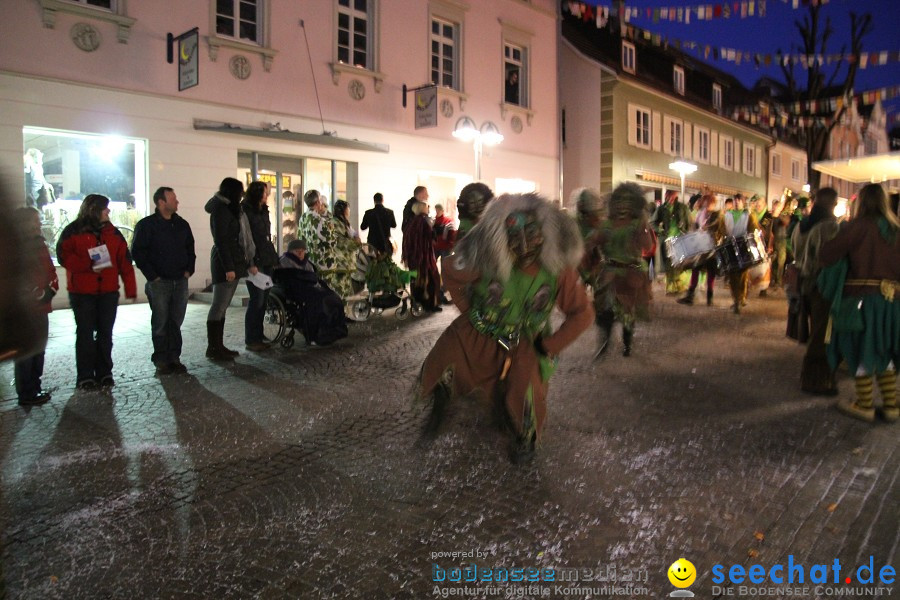 Fasnet-Tettnanger Feuerhexen Jubilaeumsumzug-Tettnang-050211-seechat_de