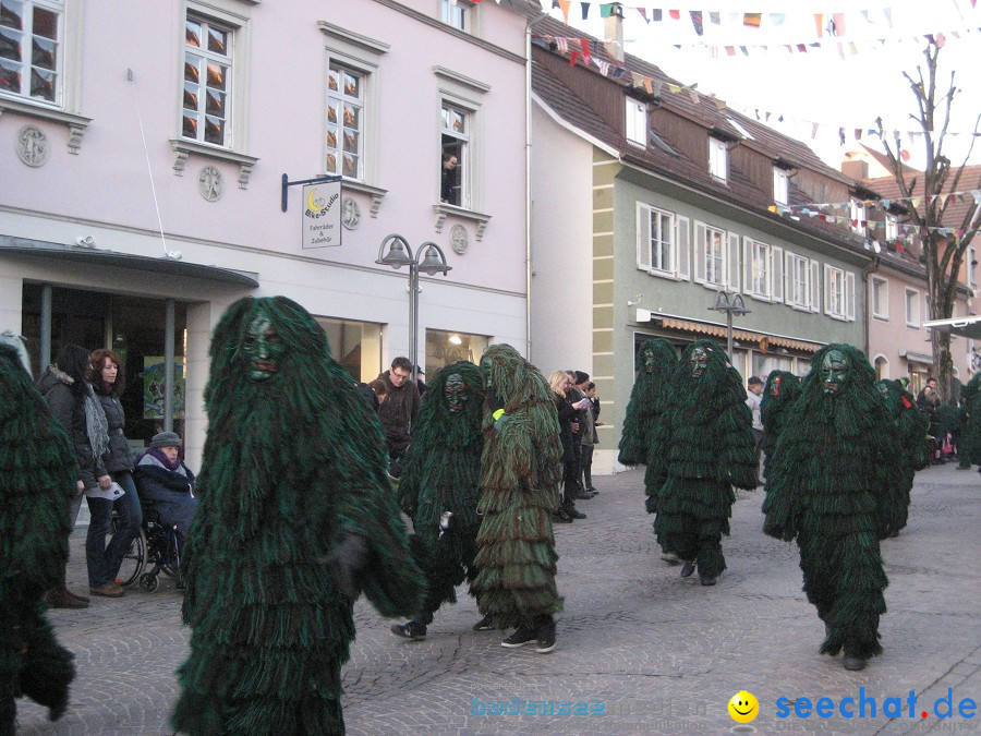 Fasnet-Tettnanger Feuerhexen Jubilaeumsumzug-Tettnang-050211-seechat_de