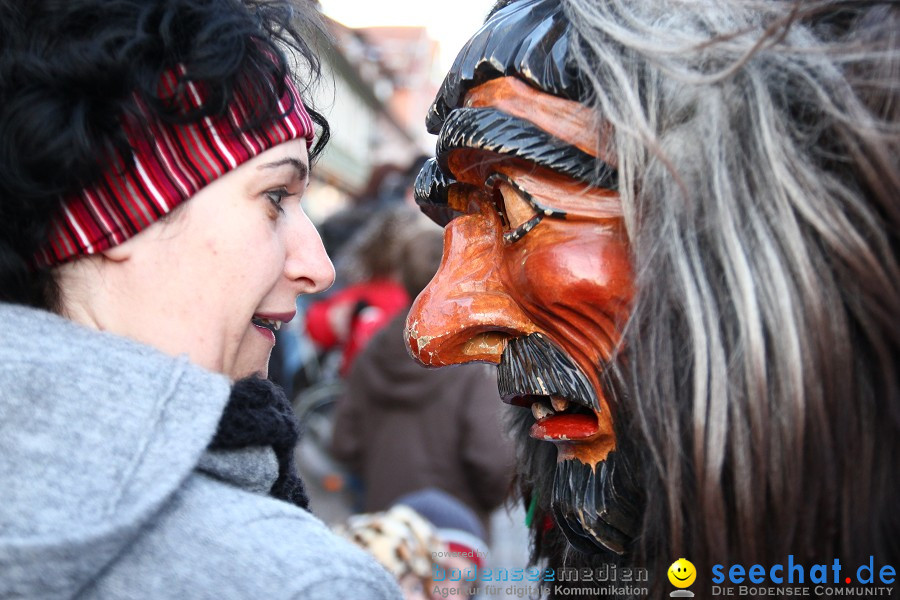 Fasnet-Tettnanger Feuerhexen Jubilaeumsumzug-Tettnang-050211-seechat_de