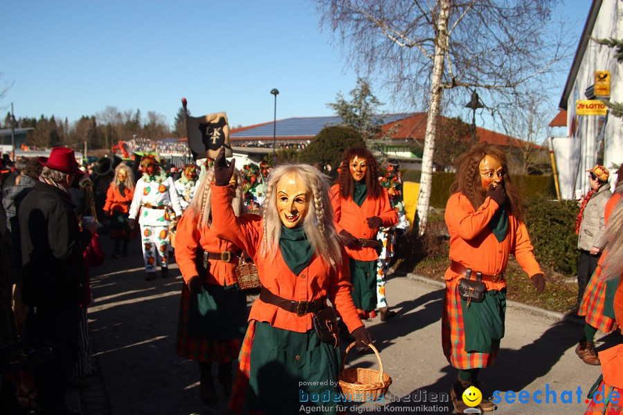 Fasnet 2011-Narrensprung-Horgenzell-060211-seechat_de