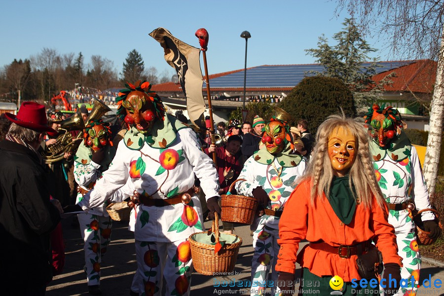 Fasnet 2011-Narrensprung-Horgenzell-060211-seechat_de