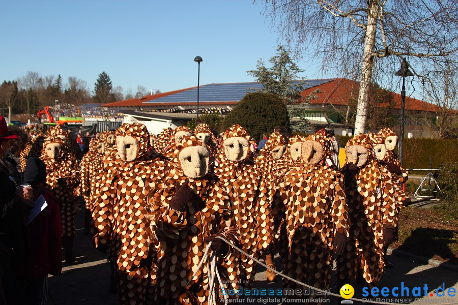 Fasnet 2011-Narrensprung-Horgenzell-060211-seechat_de