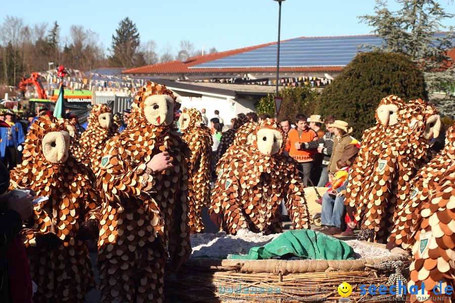 Fasnet 2011-Narrensprung-Horgenzell-060211-seechat_de