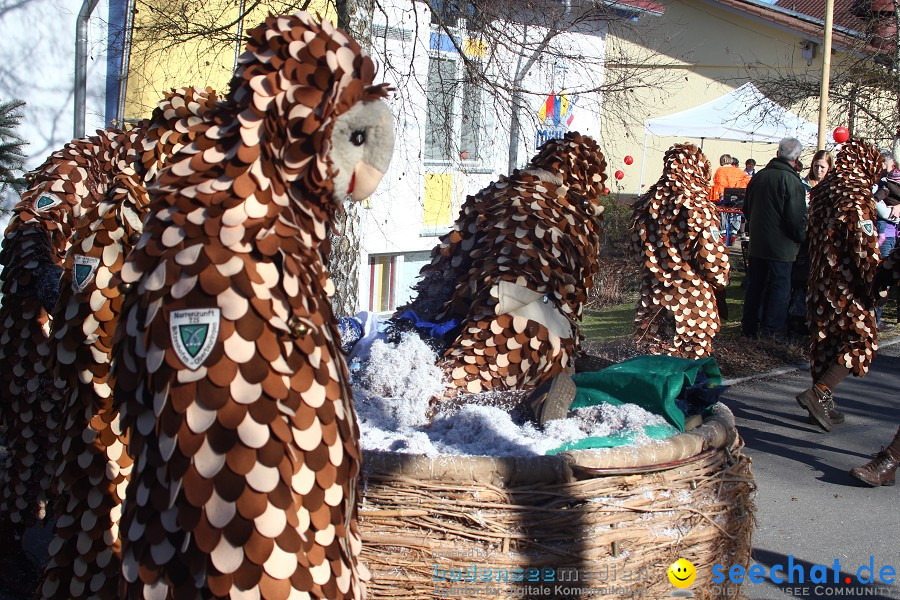 Fasnet 2011-Narrensprung-Horgenzell-060211-seechat_de