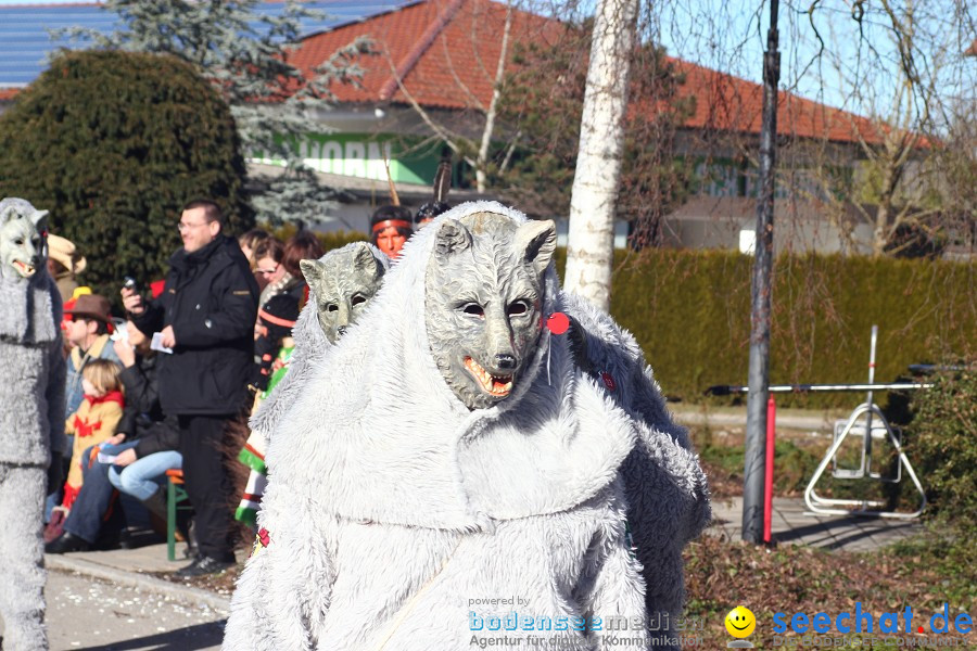 Fasnet 2011-Narrensprung-Horgenzell-060211-seechat_de