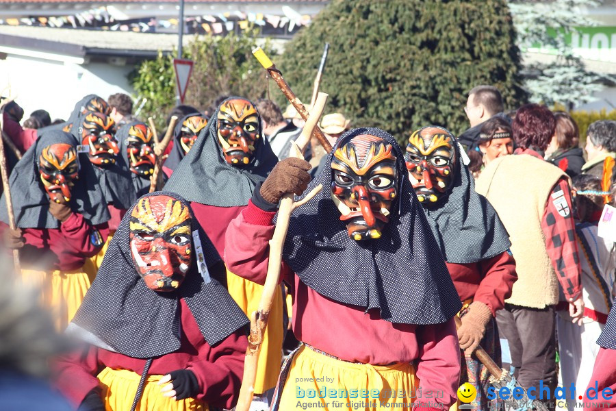 Fasnet 2011-Narrensprung-Horgenzell-060211-seechat_de