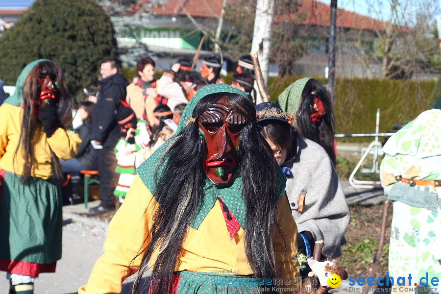 Fasnet 2011-Narrensprung-Horgenzell-060211-seechat_de