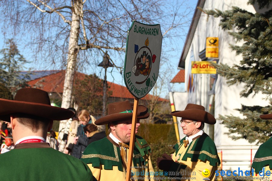 Fasnet 2011-Narrensprung-Horgenzell-060211-seechat_de