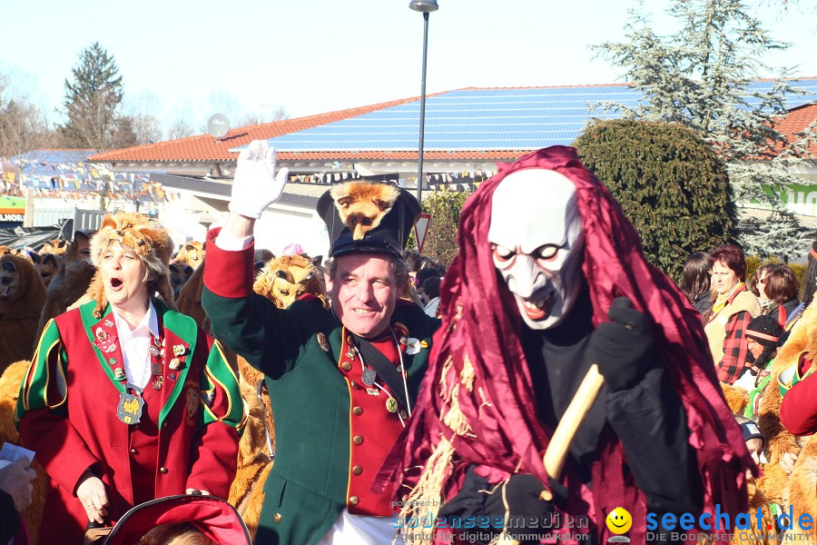 Fasnet 2011-Narrensprung-Horgenzell-060211-seechat_de