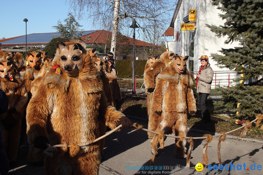 Fasnet 2011-Narrensprung-Horgenzell-060211-seechat_de