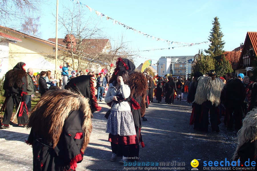 Fasnet 2011-Narrensprung-Horgenzell-060211-seechat_de