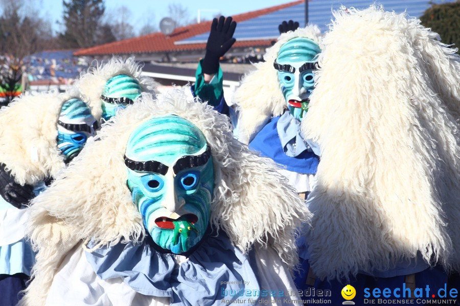 Fasnet 2011-Narrensprung-Horgenzell-060211-seechat_de