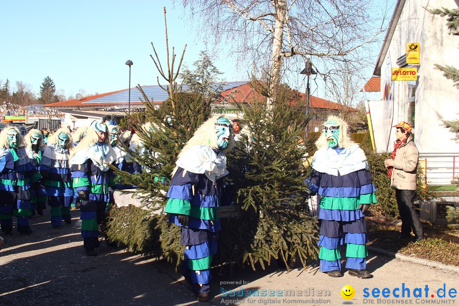 Fasnet 2011-Narrensprung-Horgenzell-060211-seechat_de