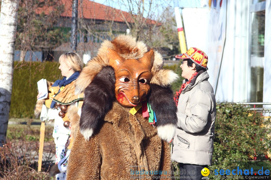 Fasnet 2011-Narrensprung-Horgenzell-060211-seechat_de