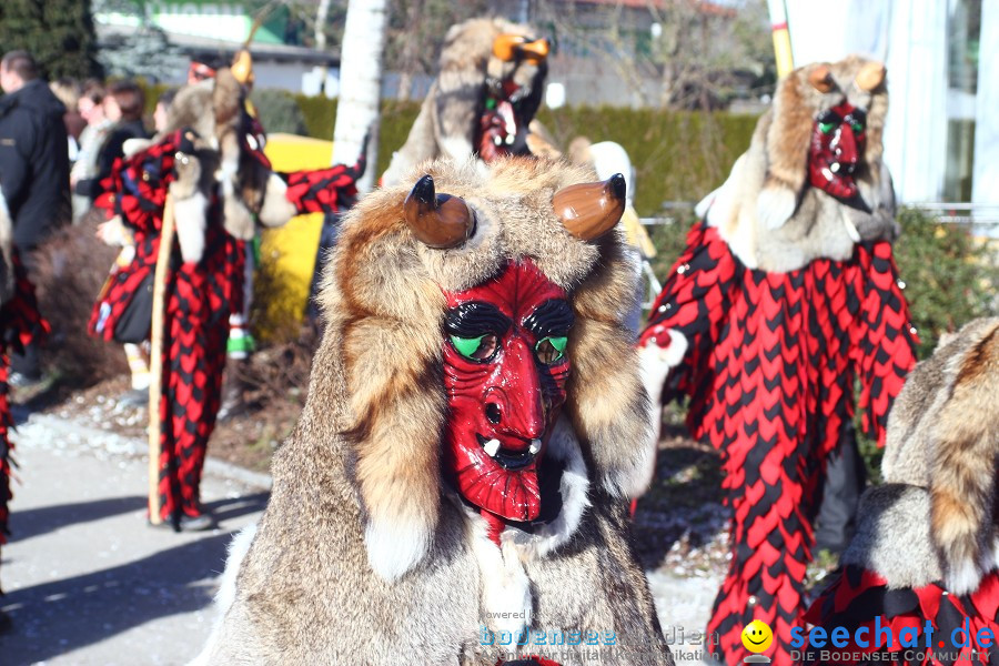 Fasnet 2011-Narrensprung-Horgenzell-060211-seechat_de