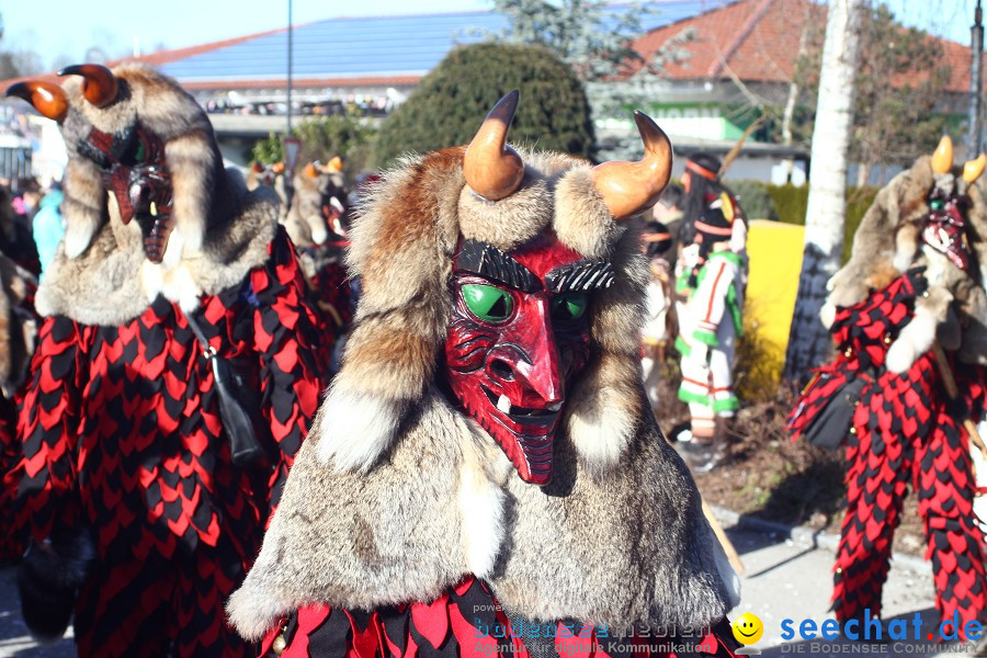 Fasnet 2011-Narrensprung-Horgenzell-060211-seechat_de