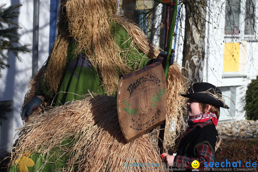 Fasnet 2011-Narrensprung-Horgenzell-060211-seechat_de