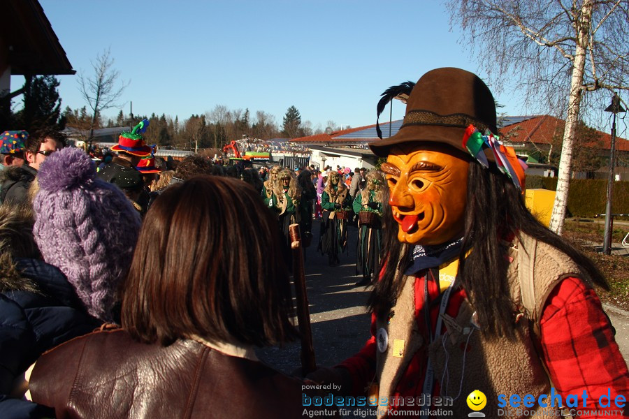 Fasnet 2011-Narrensprung-Horgenzell-060211-seechat_de