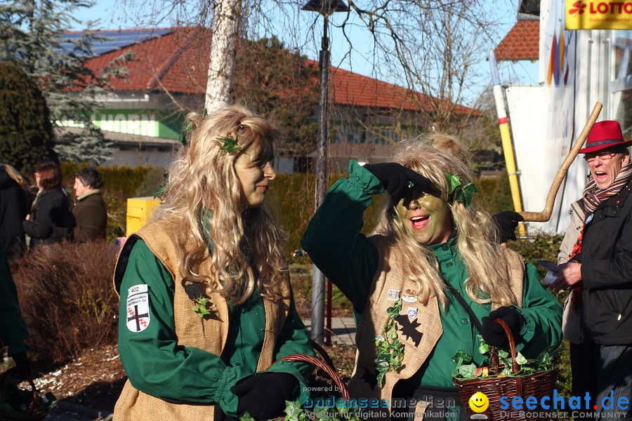 Fasnet 2011-Narrensprung-Horgenzell-060211-seechat_de