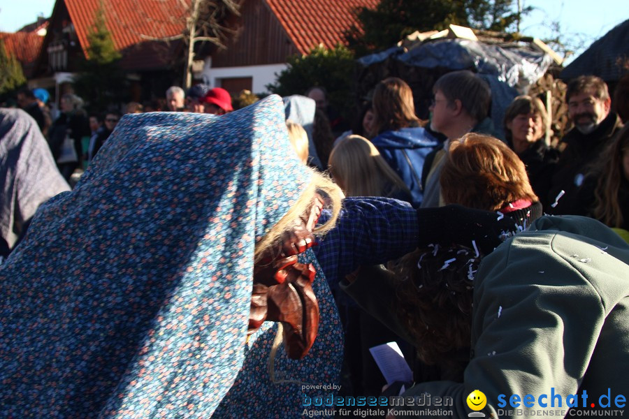 Fasnet 2011-Narrensprung-Horgenzell-060211-seechat_de