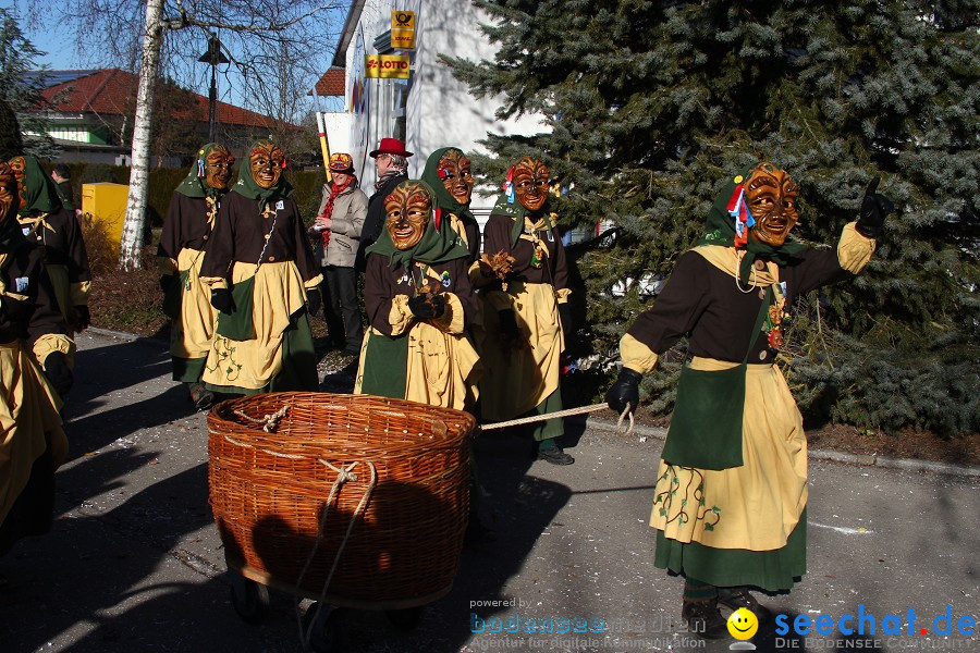 Fasnet 2011-Narrensprung-Horgenzell-060211-seechat_de