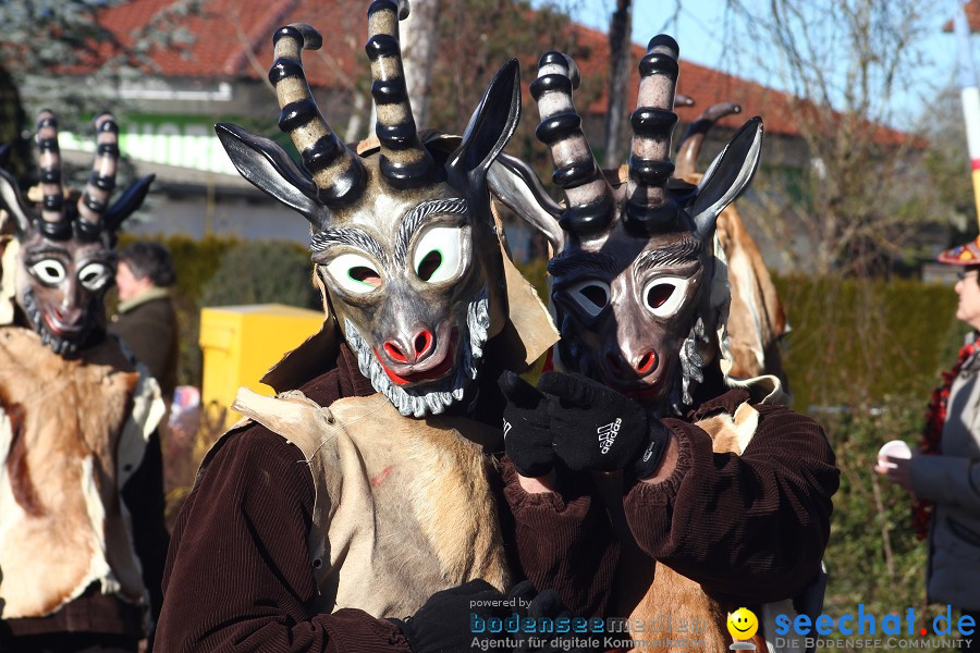 Fasnet 2011-Narrensprung-Horgenzell-060211-seechat_de