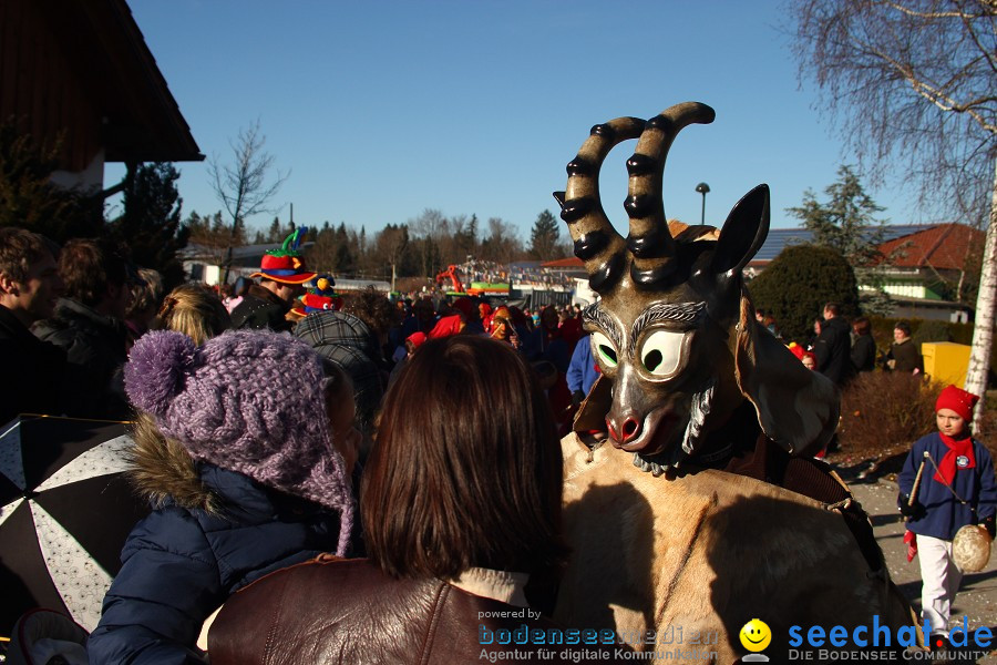 Fasnet 2011-Narrensprung-Horgenzell-060211-seechat_de