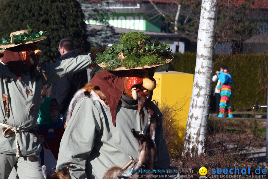 Fasnet 2011-Narrensprung-Horgenzell-060211-seechat_de