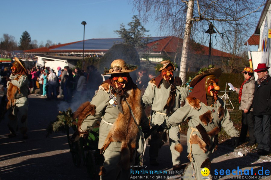 Fasnet 2011-Narrensprung-Horgenzell-060211-seechat_de