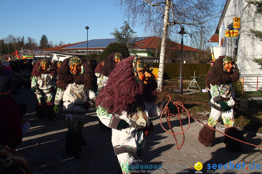 Fasnet 2011-Narrensprung-Horgenzell-060211-seechat_de