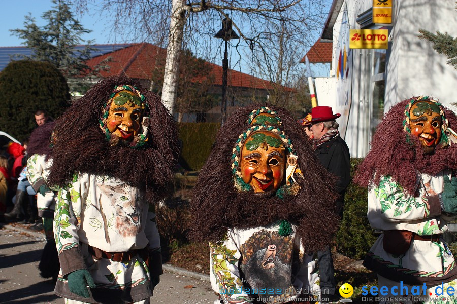 Fasnet 2011-Narrensprung-Horgenzell-060211-seechat_de