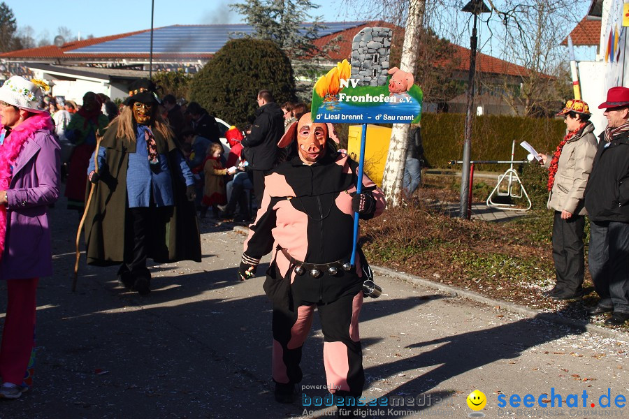 Fasnet 2011-Narrensprung-Horgenzell-060211-seechat_de