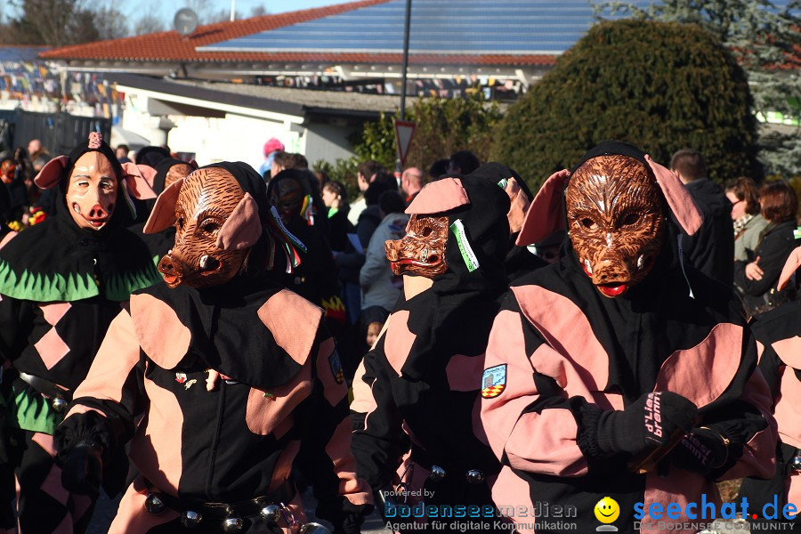 Fasnet 2011-Narrensprung-Horgenzell-060211-seechat_de