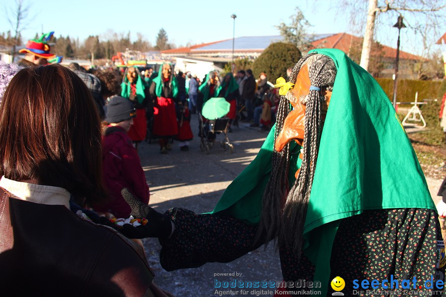 Fasnet 2011-Narrensprung-Horgenzell-060211-seechat_de