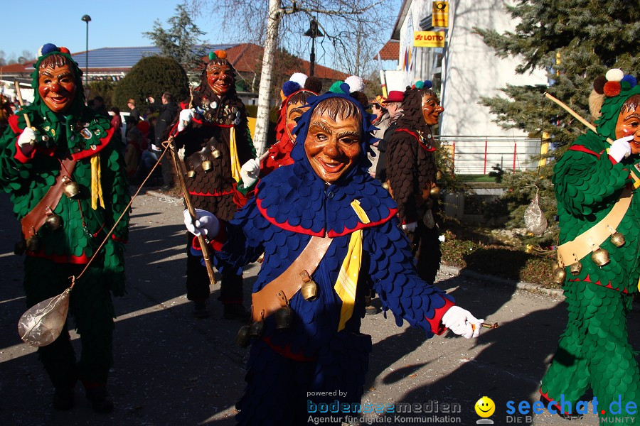 Fasnet 2011-Narrensprung-Horgenzell-060211-seechat_de